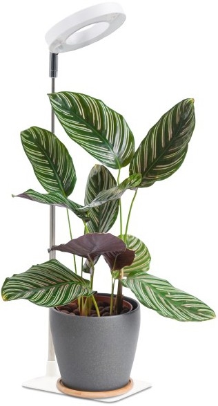 Dæmpbar LED-bordlampe til dyrkning af planter VERDI LED/5W/5V 1300K CRI 95 hvid