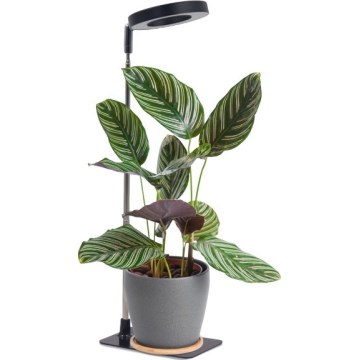 Dæmpbar LED-bordlampe til indendørs plantevækst VERDI LED/5W/5V 1300K CRI 95 sort