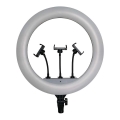 Dæmpbar LED-lampe med stativ og holder til vlogging LED/55W/230V CRI 90 + fjernbetjening