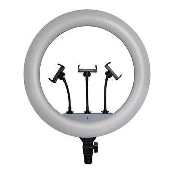 Dæmpbar LED-lampe med stativ og holder til vlogging LED/55W/230V CRI 90 + fjernbetjening