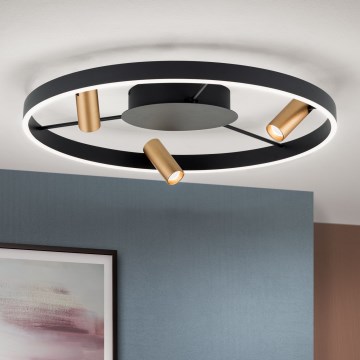 Dæmpbar LED-loftlampe BERLIN LED/50W/230V, sort/guld