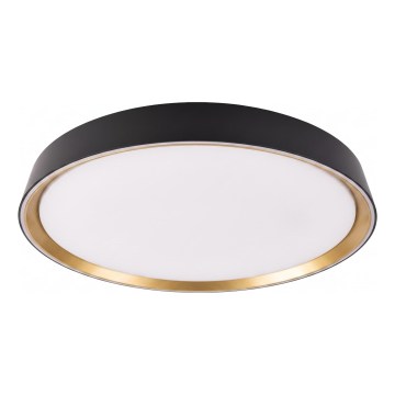 Dæmpbar LED-loftlampe ILVI LED/45W/230V 2700–6500 K Ø 50 cm sort/beige + fjernbetjening