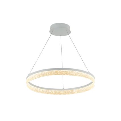 Dæmpbar LED-pendel på wire ALIANZ LED/45W/230V 3000-6000K Ø 60 cm + fjernbetjening