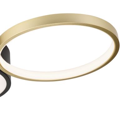 Dæmpbar loftlampe ALIZEE LED/30W/230V 3000-6500K sort/guld