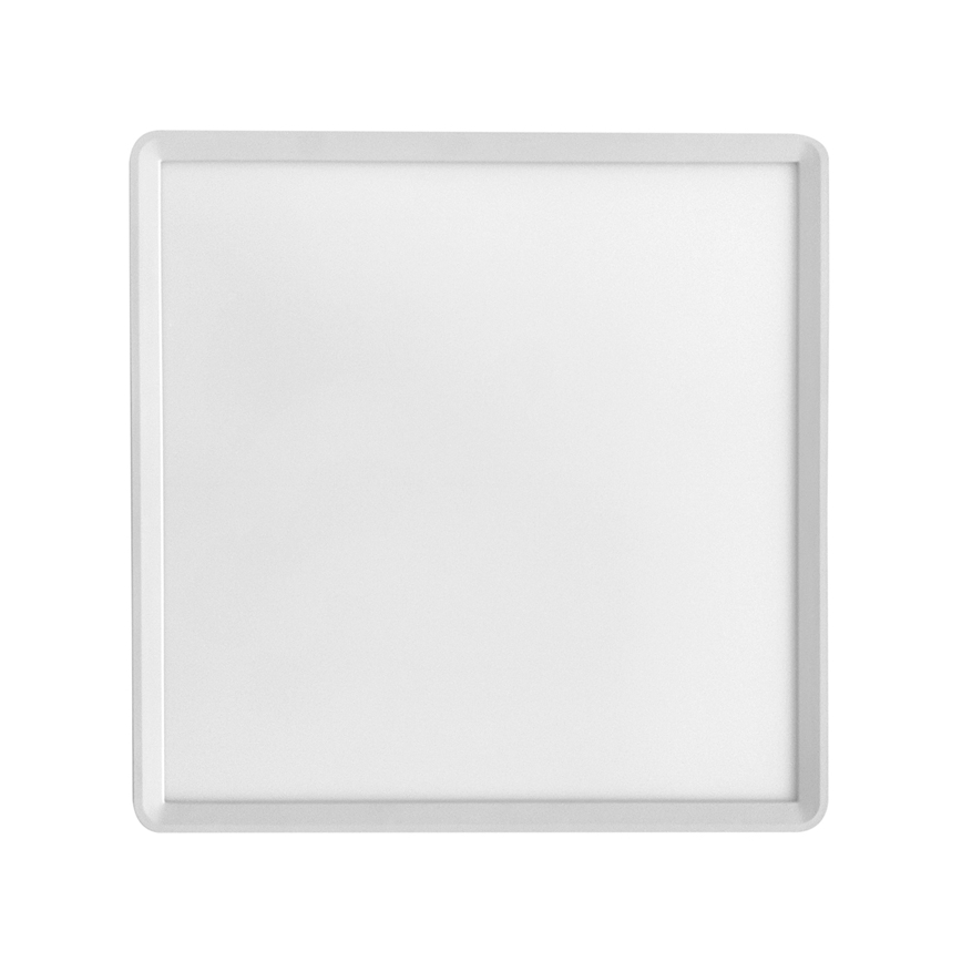 LED loftlampe TERY LED/50W/230V 3000/4000/6000K 90x60 cm IP40 hvid