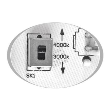 Udendørs LED loftlampe MARTIN LED/15W/230V 3000/4000K diameter 30 cm IP65 hvid