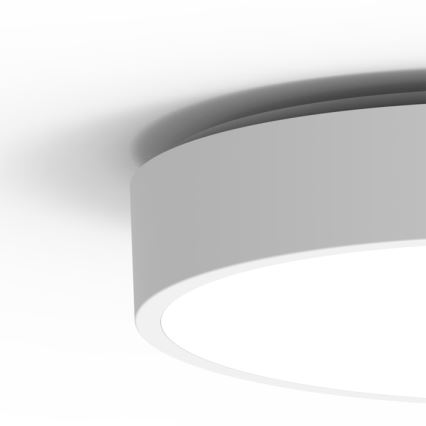 Udendørs LED loftlampe med sensor MARTIN LED/15W/230V 3000/4000K diameter 30 cm IP65 hvid