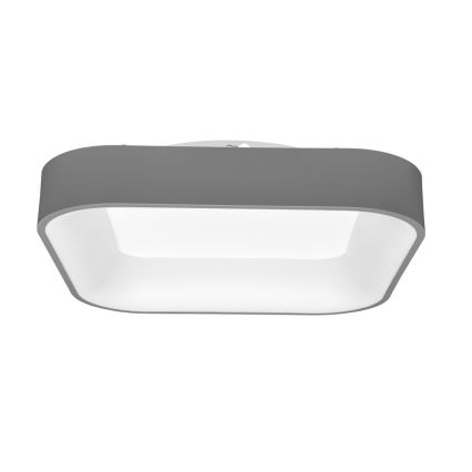 LED loftlampe dæmpbar NEST LED/40W/230V 3000–6500K grå