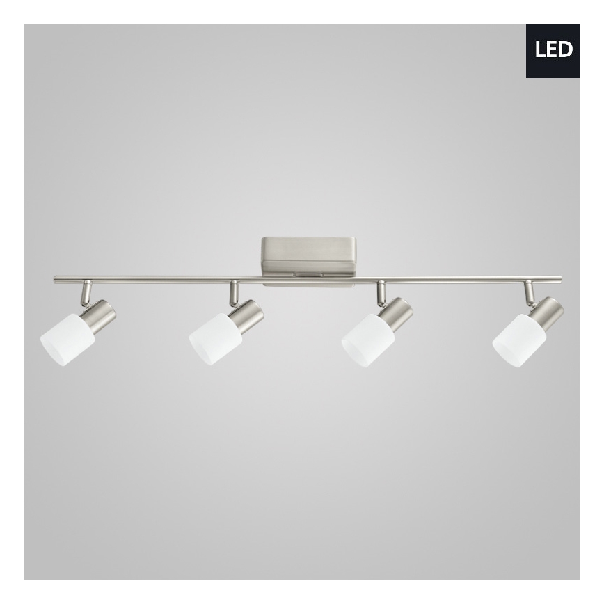 Eglo 31392 - LED spotlampe TABERNO 4xLED/5W/230V