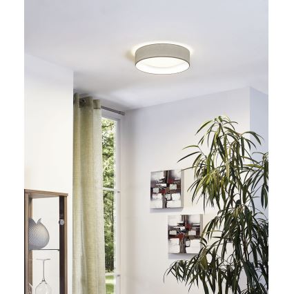 Eglo - LED loftsbelysning 1xLED/11W/230V
