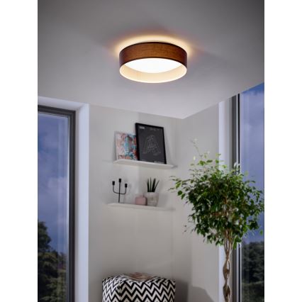 Eglo - LED loftlampe LED/11W/230V
