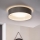 Eglo 31623 - LED loftlampe MASERLO LED/16W/230V 3000K Ø 40,5 cm grå/sølv