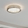 Eglo 32047 - LED loftlampe AREZZO 2 LED/17,92W/230V