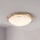 Eglo 32094 - LED loftlampe PLANET LED/11W/230V 3000K mat krom