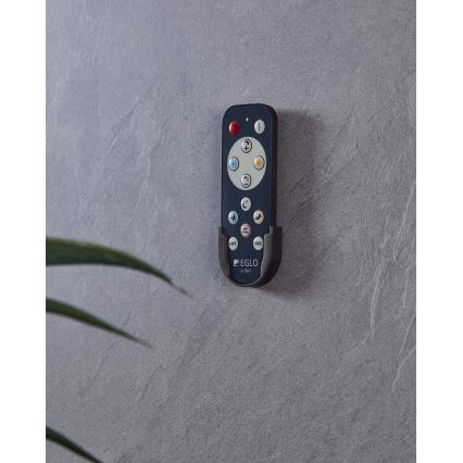 Eglo 33199 - Fjernbetjening FRANIA 1xCR2032