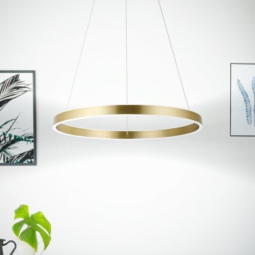 Eglo 33484 - LED-pendel med wireophæng ALCAZABA 2xLED/18W/230V 3000K Ø 55 cm guld