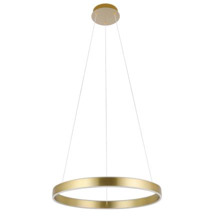 Eglo 33484 - LED-pendel med wireophæng ALCAZABA 2xLED/18W/230V 3000K Ø 55 cm guld