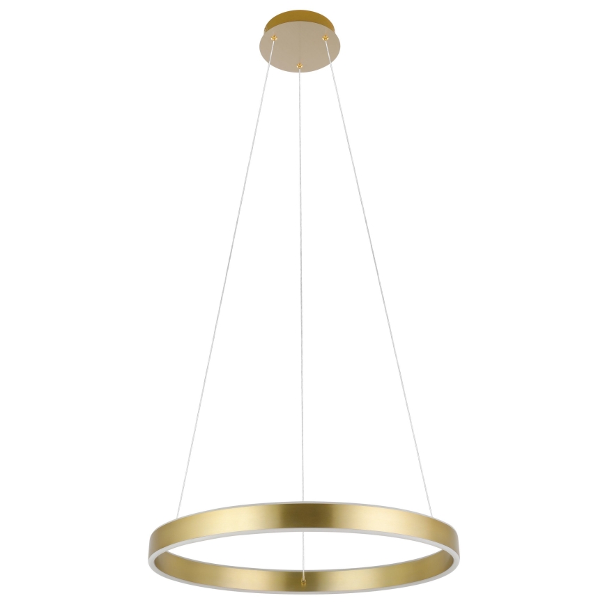 Eglo 33484 - LED-pendel med wireophæng ALCAZABA 2xLED/18W/230V 3000K Ø 55 cm guld