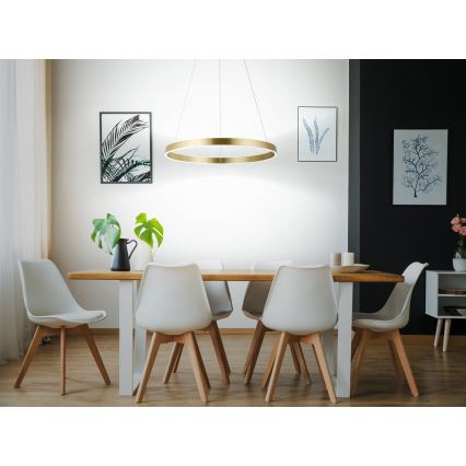 Eglo 33484 - LED-pendel med wireophæng ALCAZABA 2xLED/18W/230V 3000K Ø 55 cm guld