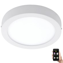 Eglo 33575 - LED badeværelseslampe dæmpbar ARGOLIS-C LED/16,5W/230V IP44 hvid