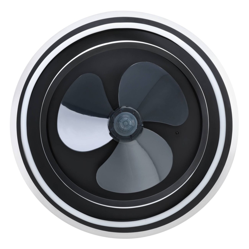 Eglo - LED-dæmpbar loftventilator 4xLED/9W/230V 2700-6500K Ø 50 cm sort + fjernbetjening