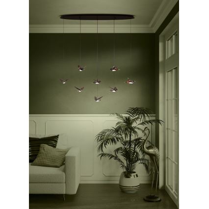 Eglo - LED pendel dæmpbar 8xLED/4,2W/230V 3000K sort