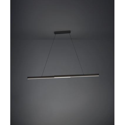 Eglo - LED dæmpbar loftlampe med ledning LED/20W/230V 3000K sort