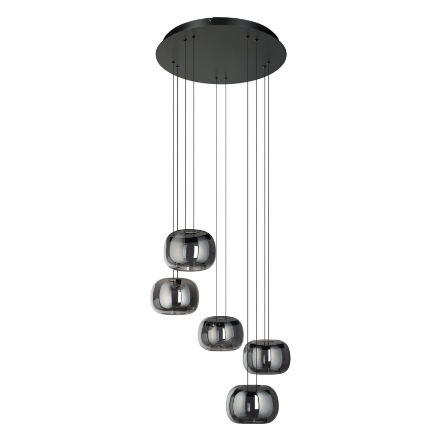 Eglo - Dæmpbar LED-pendel på wire 5xLED/5,8W/230V sort/røgfarvet