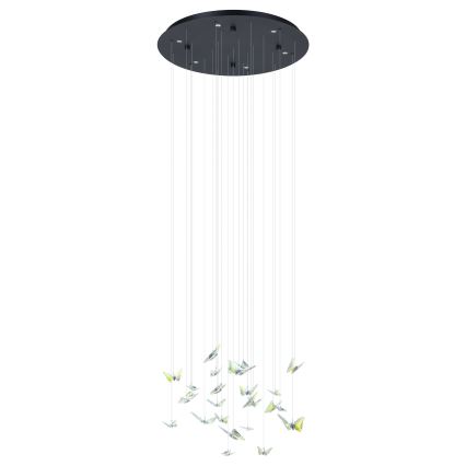 Eglo - dæmpbar LED-pendel på wire 6xLED/4,2W/230V sort/klar