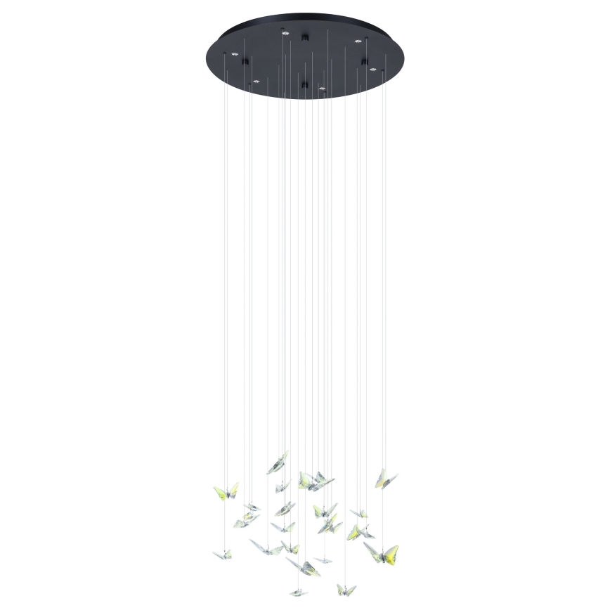 Eglo - dæmpbar LED-pendel på wire 6xLED/4,2W/230V sort/klar