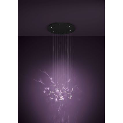 Eglo - dæmpbar LED-pendel på wire 6xLED/4,2W/230V sort/klar