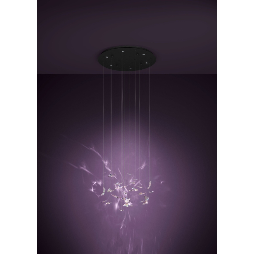 Eglo - dæmpbar LED-pendel på wire 6xLED/4,2W/230V sort/klar