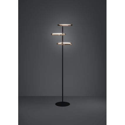 Eglo - Dæmpbar LED-gulvlampe LED/20W/230V messing