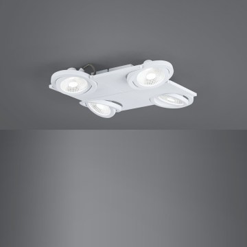Eglo 39136 - LED spotlamper BREA 4xLED/5W/230V/12V