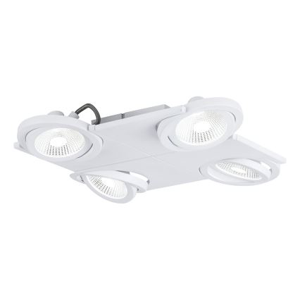 Eglo 39136 - LED spotlamper BREA 4xLED/5W/230V/12V