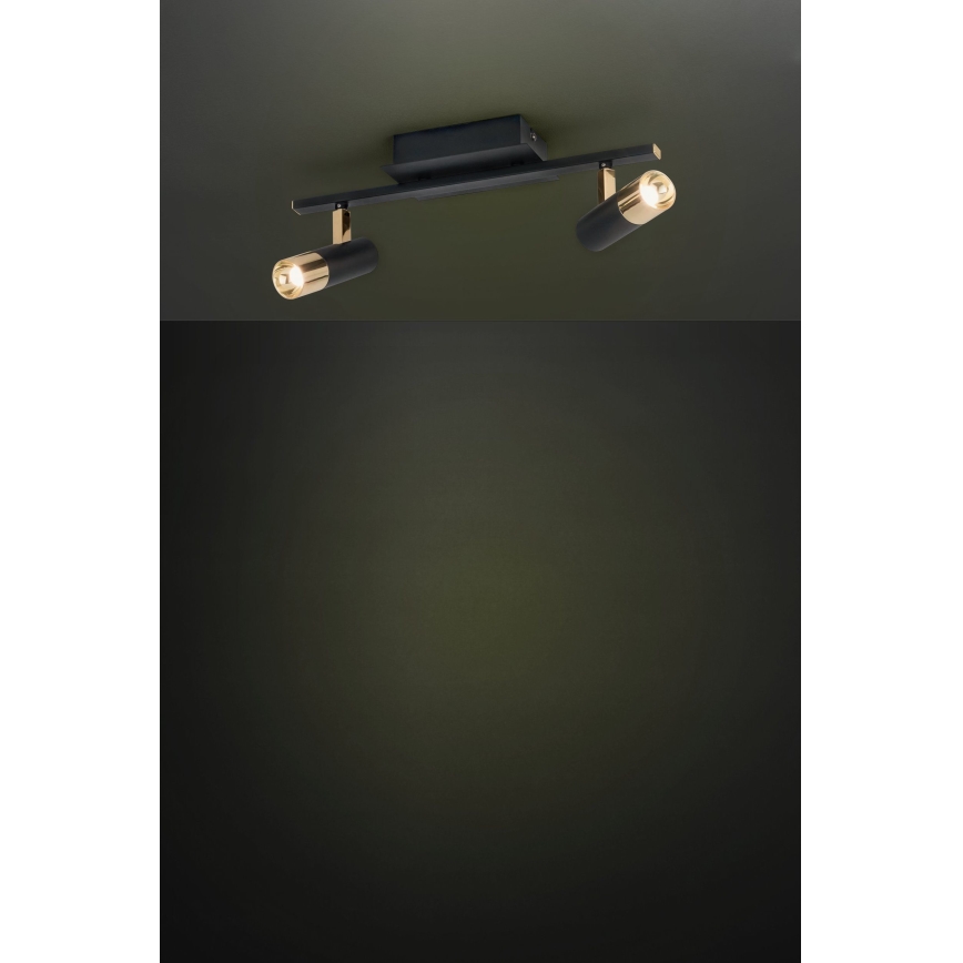 Eglo - LED spotlamper  2xLED/5W/230V/12V