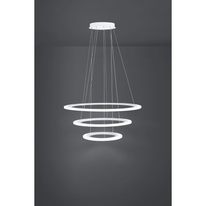 Eglo - LED dæmpbar pendel på stålwire LED/45W/230V + LED/33W + LED/19,5W