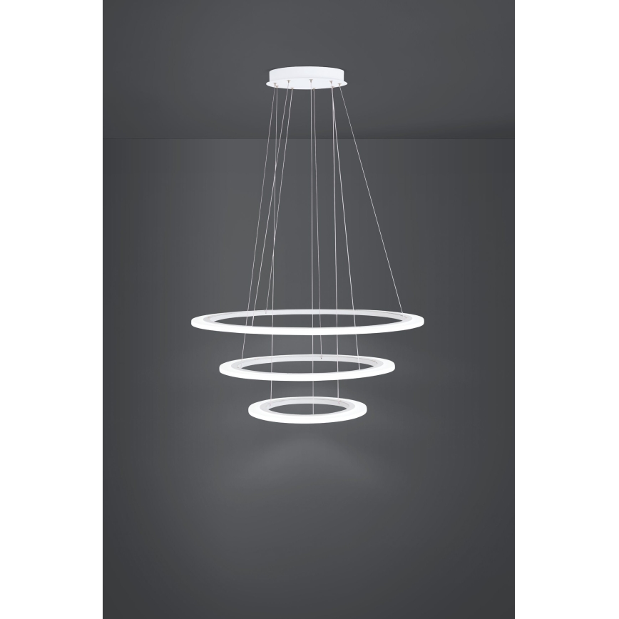 Eglo - LED dæmpbar pendel på stålwire LED/45W/230V + LED/33W + LED/19,5W