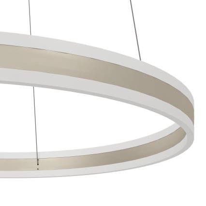 Eglo - LED lysdæmper lysekrone i en snor LED/78W/230V