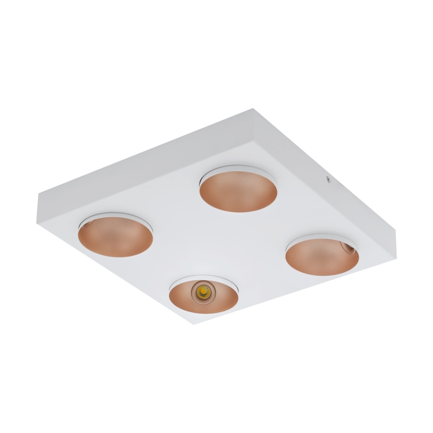 Eglo - LED lysdæmper loftslampe 4xLED/3,3W/230V