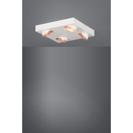 Eglo - LED lysdæmper loftslampe 4xLED/3,3W/230V