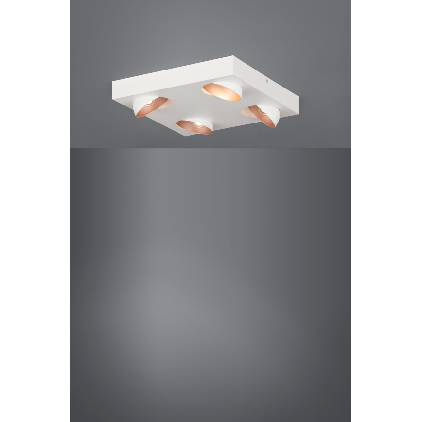 Eglo - LED lysdæmper loftslampe 4xLED/3,3W/230V