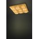 Eglo - LED lampe dæmpbar 4xLED/5,4W/230V + 9xLED/4,5W