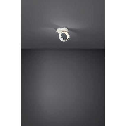 Eglo - LED spotlampe LED/4,6W/230V 3000K