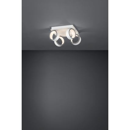 Eglo 39587 - LED spotlampe ALBARIZA 4xLED/4,6W/230V