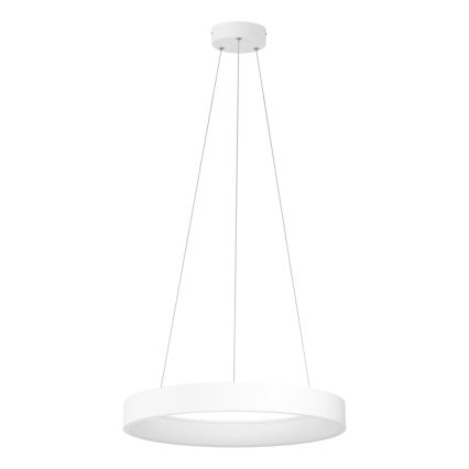 Eglo - LED pendel dæmpbar LED/34W/230V