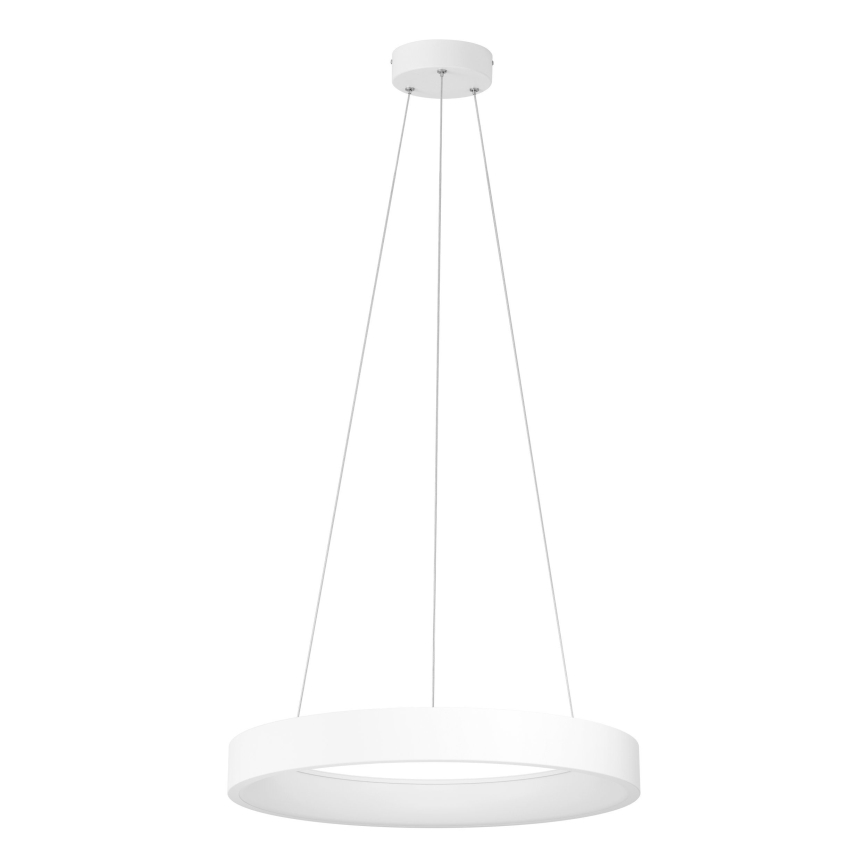 Eglo - LED pendel dæmpbar LED/34W/230V