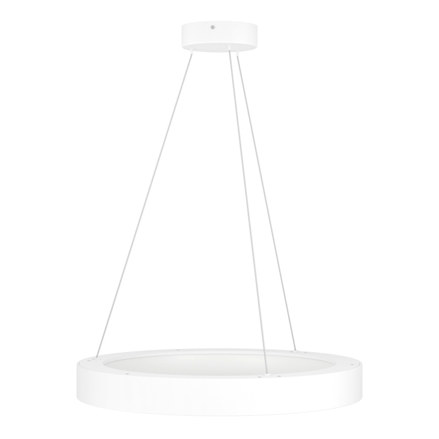 Eglo - LED pendel dæmpbar LED/34W/230V