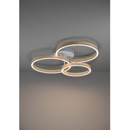 Eglo - LED loftlampe dæmpbar LED/12,5W/230V + 2xLED/15,5W 3000K grå/eg