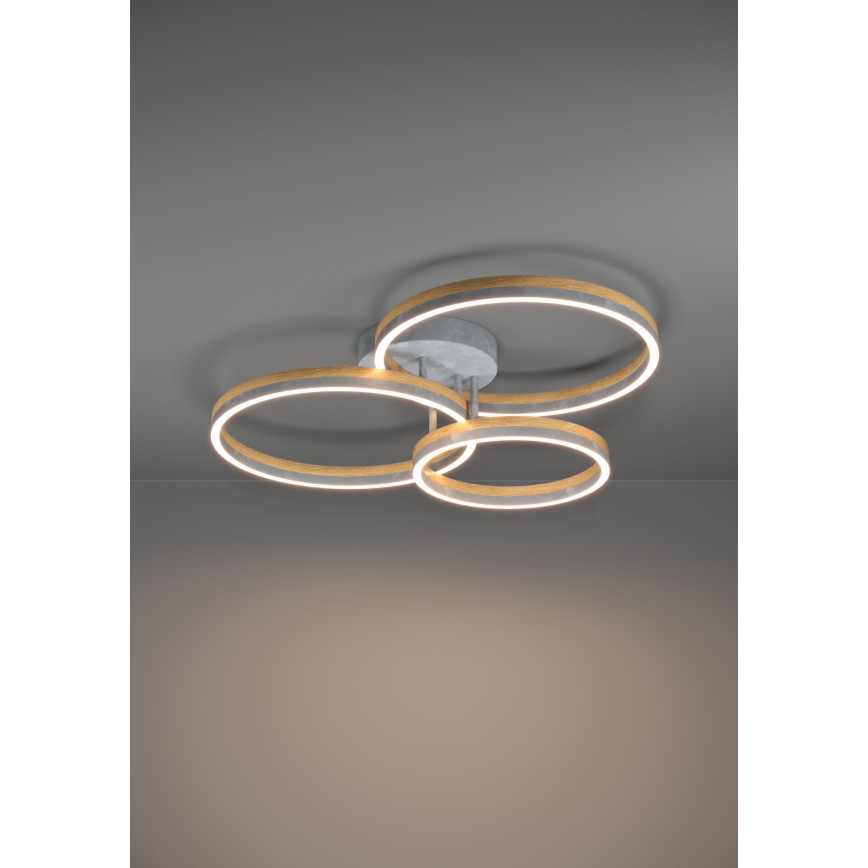 Eglo - LED loftlampe dæmpbar LED/12,5W/230V + 2xLED/15,5W 3000K grå/eg